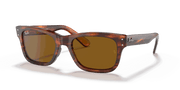 B-15 Brown Lenses, Polished Striped Havana Frame