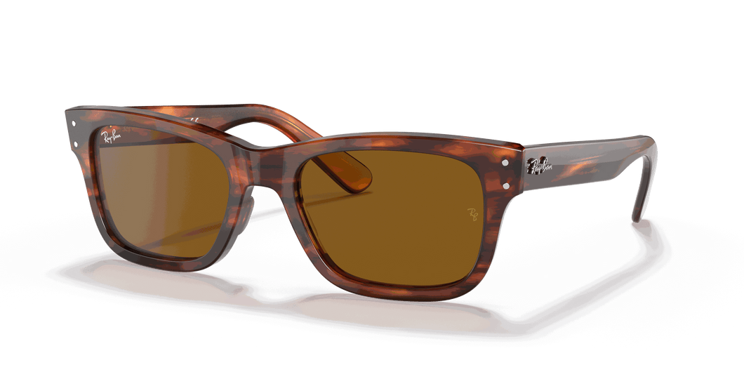 [B-15 Brown Lenses, Polished Striped Havana Frame]