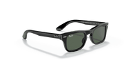 Dark Green Lenses, Polished Black Frame