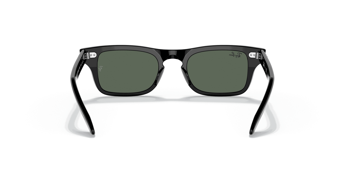 [Dark Green Lenses, Polished Black Frame]