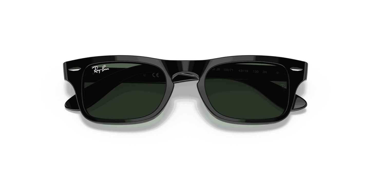 [Dark Green Lenses, Polished Black Frame]