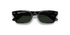 [Dark Green Lenses, Polished Black Frame]