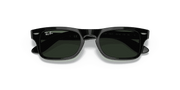 Dark Green Lenses, Polished Black Frame