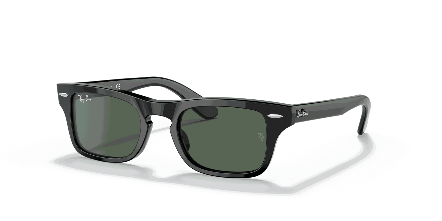 [Dark Green Lenses, Polished Black Frame]