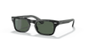 [Dark Green Lenses, Polished Black Frame]