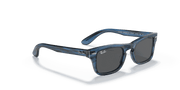 Dark Grey Lenses, Polished Striped Blue Frame