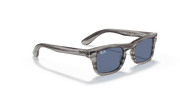 Dark Blue Lenses, Polished Striped Grey Frame