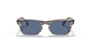 Dark Blue Lenses, Polished Striped Grey Frame