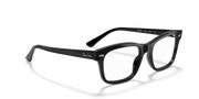 Clear Lenses, Polished Black Frame