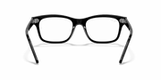 Clear Lenses, Polished Black Frame