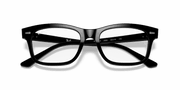 Clear Lenses, Polished Black Frame