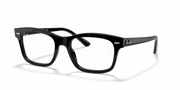 Clear Lenses, Polished Black Frame