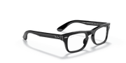 Clear Lenses, Polished Black Frame