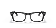 Clear Lenses, Polished Black Frame