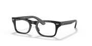 Clear Lenses, Polished Black Frame