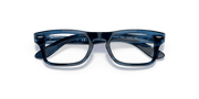 Clear Lenses, Polished Striped Blue Frame