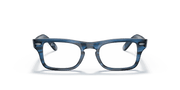 Clear Lenses, Polished Striped Blue Frame