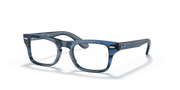 Clear Lenses, Polished Striped Blue Frame