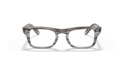 Clear Lenses, Polished Striped Grey Frame