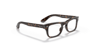 Clear Lenses, Polished Havana Frame