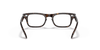 [Clear Lenses, Polished Havana Frame]