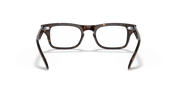 Clear Lenses, Polished Havana Frame