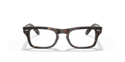 Clear Lenses, Polished Havana Frame