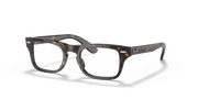 Clear Lenses, Polished Havana Frame