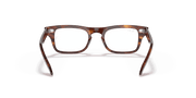 Clear Lenses, Polished Striped Havana Frame