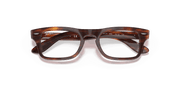 Clear Lenses, Polished Striped Havana Frame