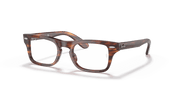 Clear Lenses, Polished Striped Havana Frame