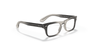 Clear Lenses, Polished Transparent Grey Frame