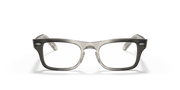 Clear Lenses, Polished Transparent Grey Frame