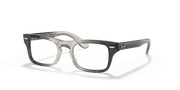 Clear Lenses, Polished Transparent Grey Frame