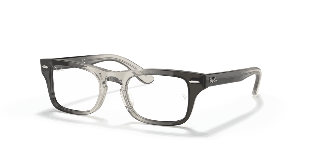 [Clear Lenses, Polished Transparent Grey Frame]