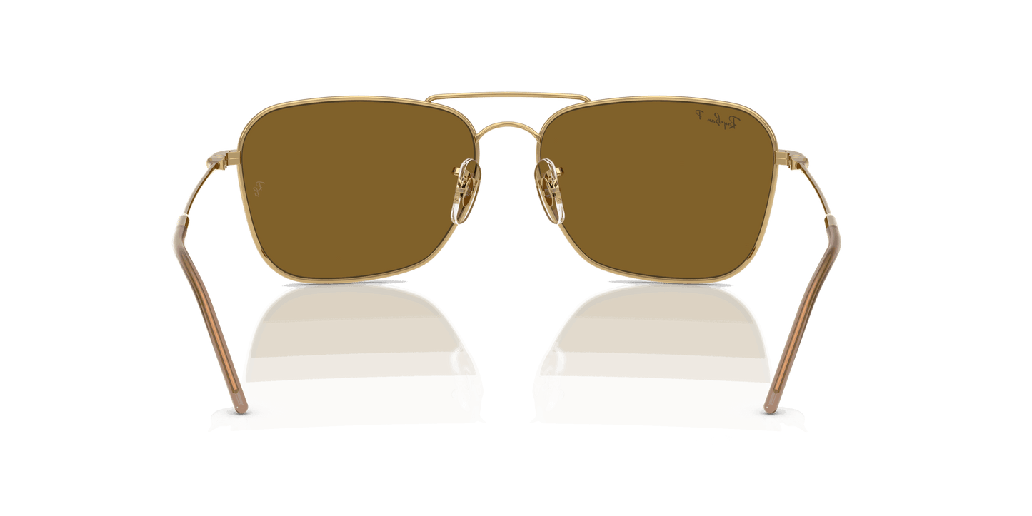 [Polar Dark Brown Lenses, Polished Arista Gold Frame]