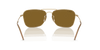 [Polar Dark Brown Lenses, Polished Arista Gold Frame]