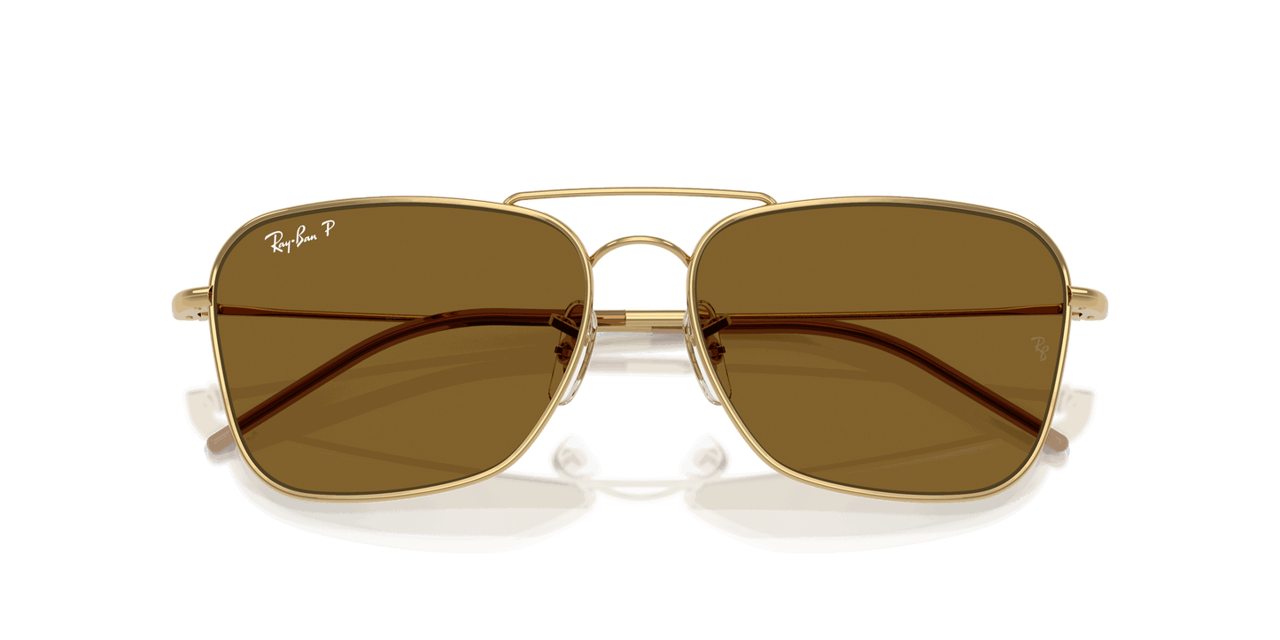 [Polar Dark Brown Lenses, Polished Arista Gold Frame]