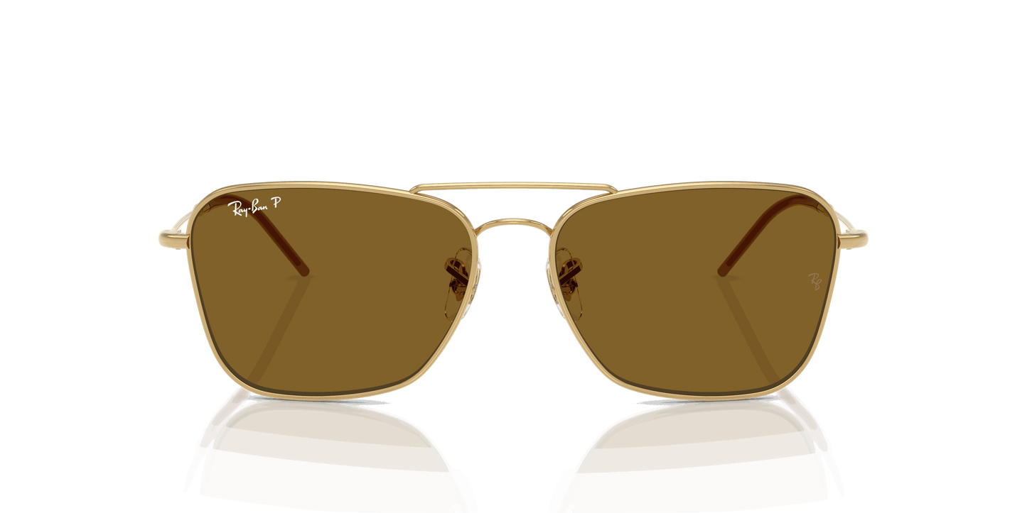 [Polar Dark Brown Lenses, Polished Arista Gold Frame]