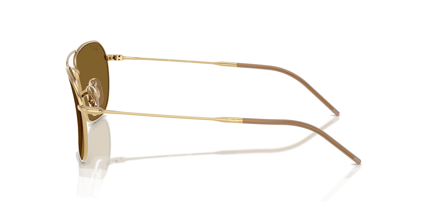 [Polar Dark Brown Lenses, Polished Arista Gold Frame]