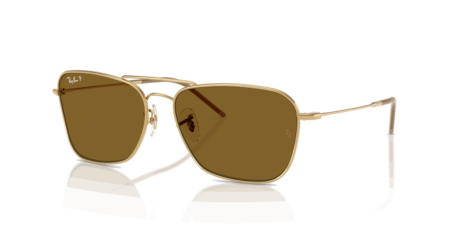 [Polar Dark Brown Lenses, Polished Arista Gold Frame]