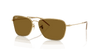 [Polar Dark Brown Lenses, Polished Arista Gold Frame]