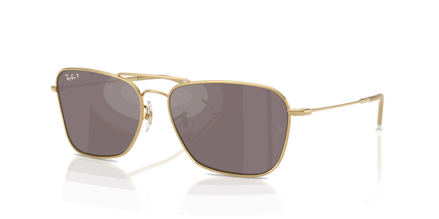 [Polar Pink Lenses, Polished Arista Gold Frame]