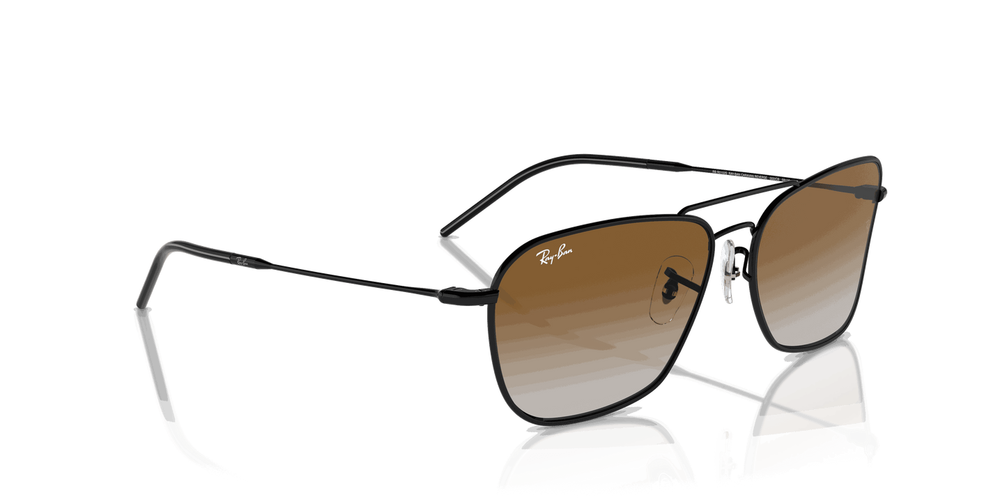 [Brown Lenses, Polished Black Frame]