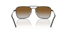 [Brown Lenses, Polished Black Frame]