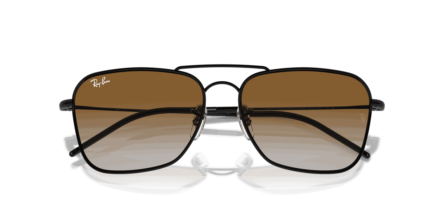 [Brown Lenses, Polished Black Frame]