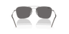 [Silver Lenses, Polished Silver Frame]