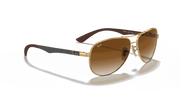 Light Brown Gradient Lenses, Polished Arista Gold Frame