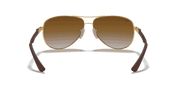 Light Brown Gradient Lenses, Polished Arista Gold Frame