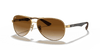 [Light Brown Gradient Lenses, Polished Arista Gold Frame]